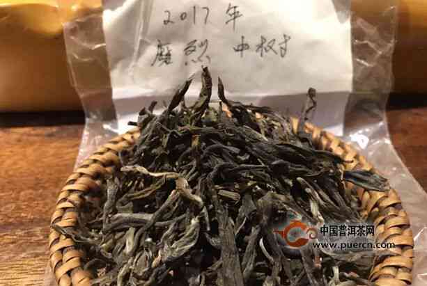 磨烈普洱茶苦涩口感及其位置