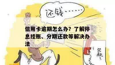 很多信用卡逾期怎么办理期还款、分期还款和停息？