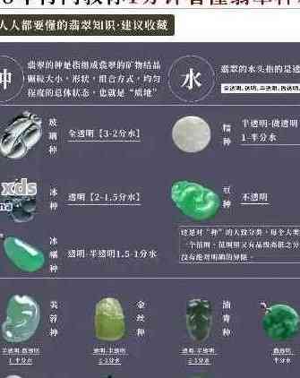 翡翠价格参考：0.8克翡翠的市场价值及购买建议