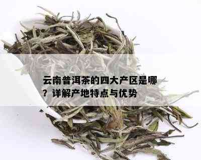 云南四大茶区普洱茶的特点及产区探析