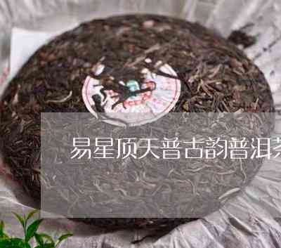 普洱市天星普洱茶业概况及产品评价