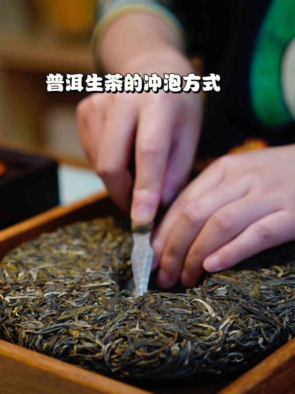 如何泡生普洱茶才是正确的