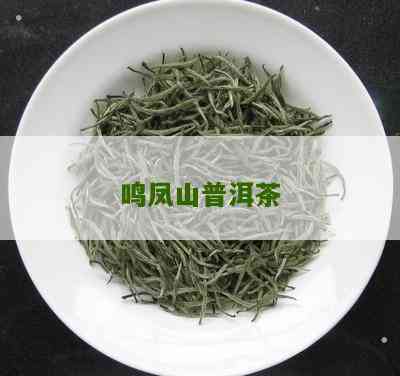 鸣凤山普洱茶口感像冰岛吗