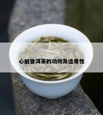 探究普洱茶对心脏及思维健的益处与可能的机制