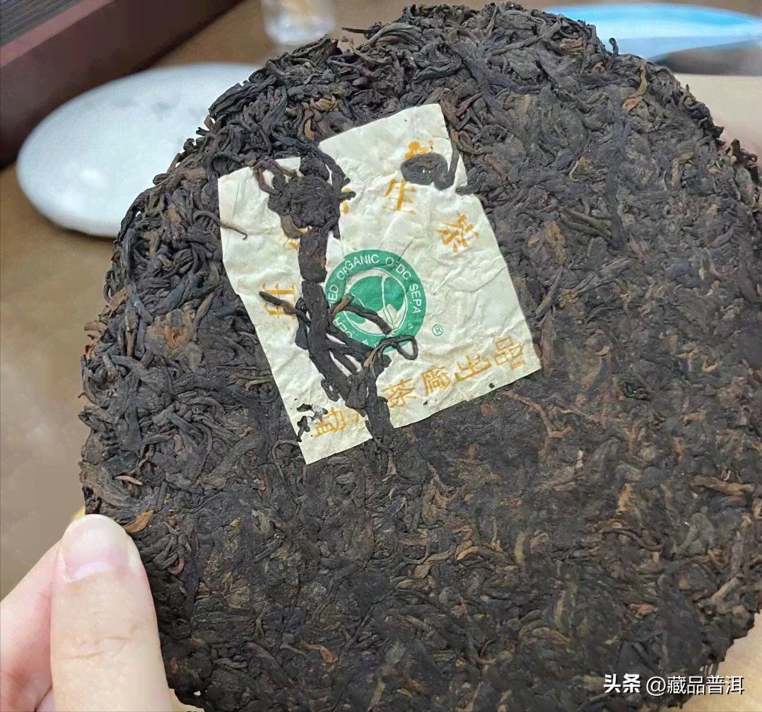 班章之巅普洱茶生茶：品种、制作工艺、品质特征及品鉴方法的全面解析