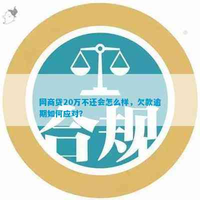 网商贷逾期一年，20万欠款如何解决？全面指南助您化解困境