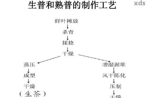 微生物对普洱茶的作用及其在加工中的重要性