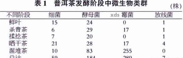 微生物对普洱茶的作用及其在加工中的重要性