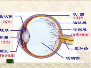 戴翡翠后运气不佳的原因及解决方法：了解这些因素能帮助你改善运势！