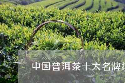 全国普洱茶十大名字及价格：中国普洱茶十大知名排行