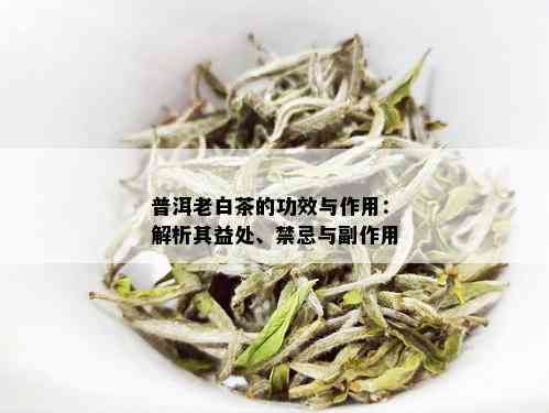 白茶普洱茶的危害及副作用