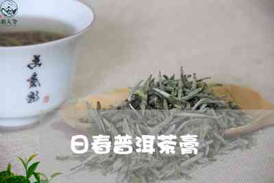 日春普洱茶：一款年份、品质与价值的完美结合