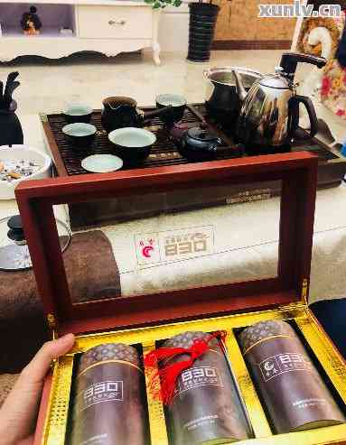 日春普洱茶：一款年份、品质与价值的完美结合