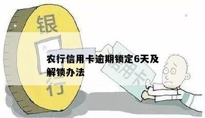 农行信用卡逾期锁卡怎么解除