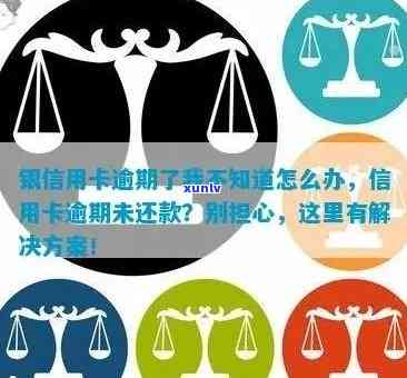 信用卡逾期两天的全面解决方案：如何应对、期还款及影响等详细解析