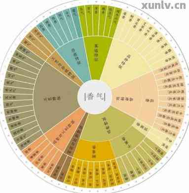 普洱茶口感体系：全面解析茶叶的风味、香气和口感特征