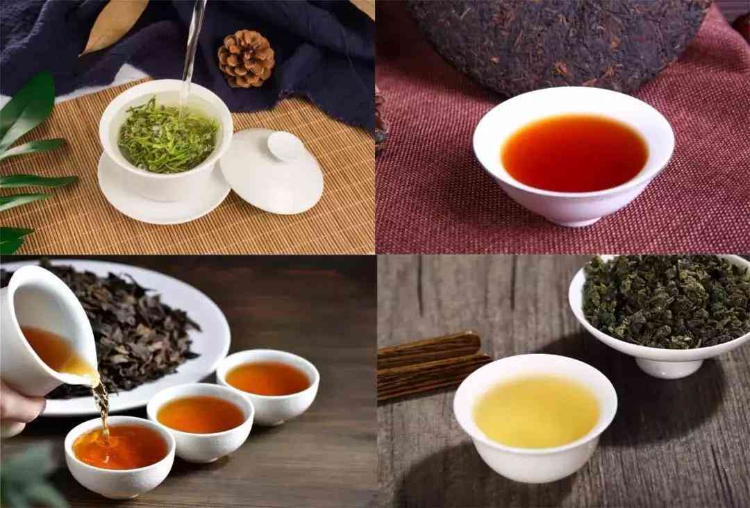 绿茶红茶乌龙茶白茶普洱黑茶功效区别与健选择