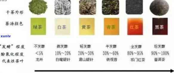 红茶、普洱茶、乌龙茶：三种茶叶类型的区别详解