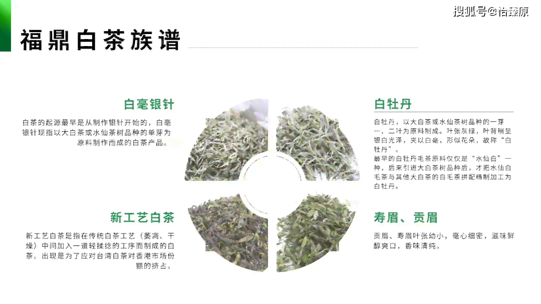 普洱茶白茶的六大特点与制作工艺流程，了解其功效与作用