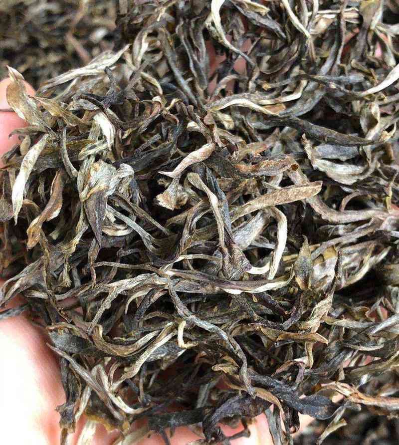 普洱茶白茶散茶