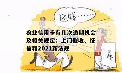 2020年农行信用卡逾期新法规解读：关键变化、影响及应对策略