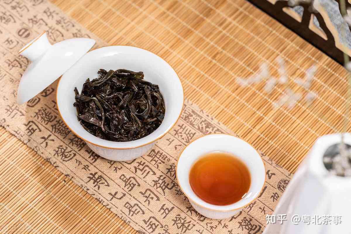 红茶单丛茶普洱茶哪个好喝