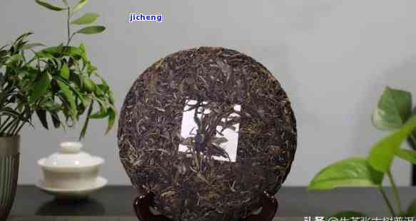 精选普洱茶系列：一款臻品普洱的独特魅力与价值