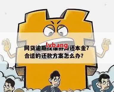 网贷逾期免息政策：真的可分期三年还本金中途随时还款吗？