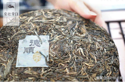 普洱茶怎么看真假辨别方法