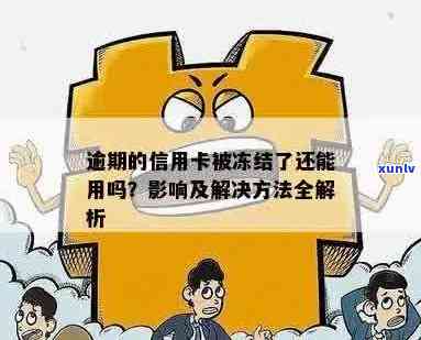 逾期后信用卡被冻结怎么办？全面解冻策略与步骤大揭秘！