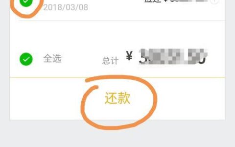 微粒贷手动还款当期教程：步骤与操作详解