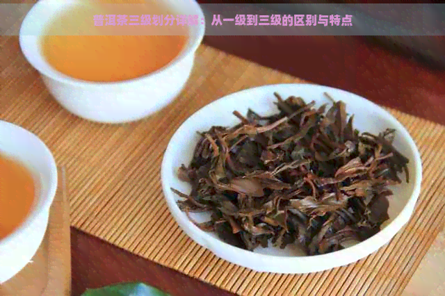 全面解析普洱茶：一二三线各具特色，助您轻松选购优质普洱茶