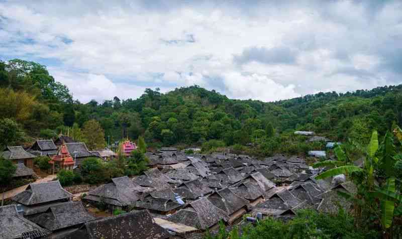 云南千亩古茶园普洱茶基地，探索茶乡之美