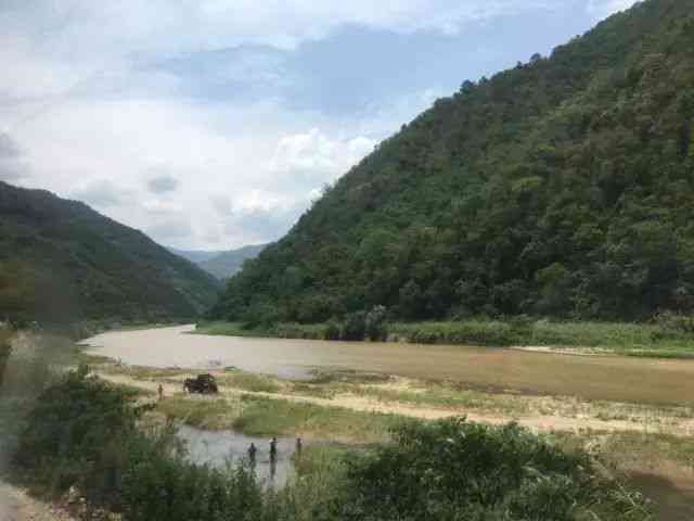 云南千亩古茶园普洱茶基地，探索茶乡之美