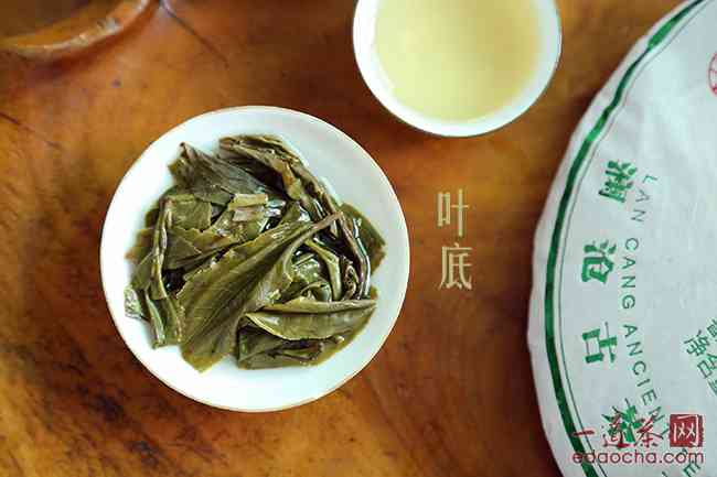 云南澜沧古茶景迈001:春日里绽放的普洱茶与古树韵味