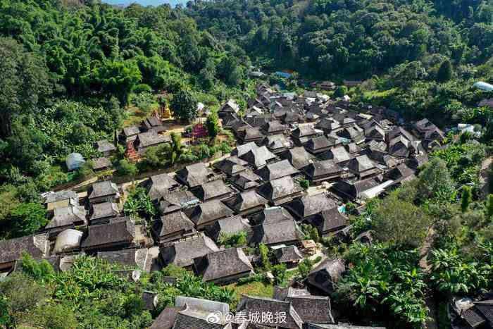 澜沧景迈山古茶园申遗情况及景区基本介绍