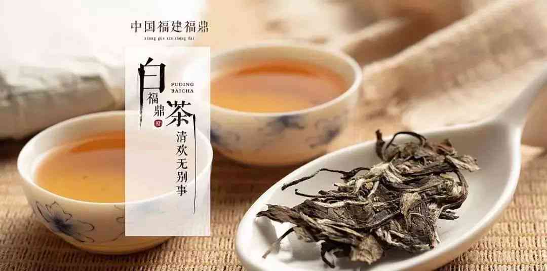 普洱福鼎白茶价格全解析：优质茶品与市场行情一览