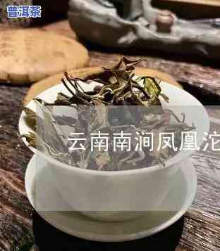 普洱茶凤凰茶业