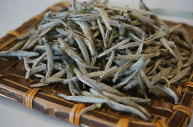 探索福鼎白茶：从种植到品鉴，了解这一中国顶级茶叶的完整过程与口感特点