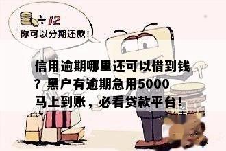 信用不好逾期可以快速借5000吗