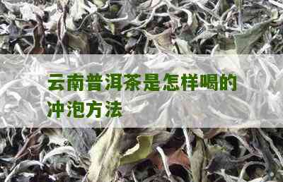 云南普洱茶冲泡方法有哪些