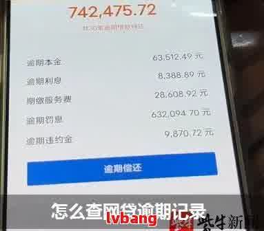 被网贷多久能查出逾期情况信息：网贷逾期查询时间解析