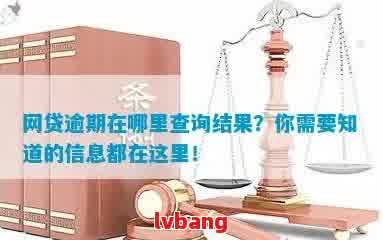 被网贷多久能查出逾期情况信息：网贷逾期查询时间解析