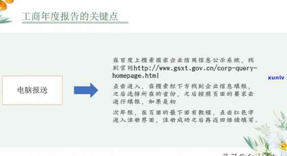 逾期申报情况说明的撰写技巧与工商年报模板解析——以公司为例