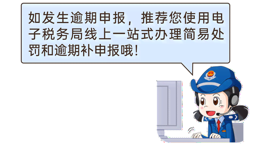 公司逾期申报情况说明