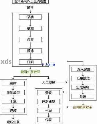 全面解析普洱茶的品质与加工工艺流程：从原料到成品，了解每一个环节