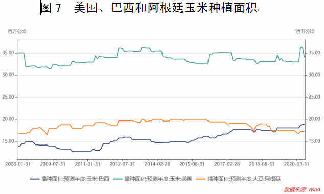 阿富汗玉米产量高的五大原因及其对全球粮食市场的影响