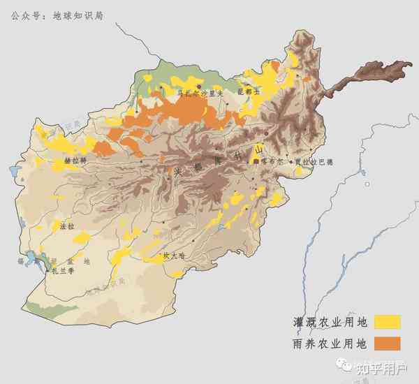 阿富汗玉米产量高的五大原因及其对全球粮食市场的影响