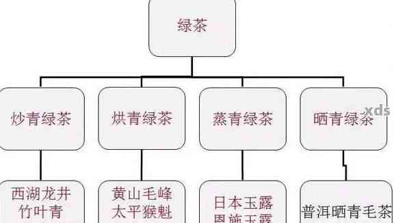 普洱茶叶的全面分类及其特点解析