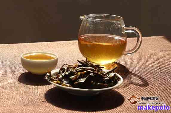 各种普洱茶的特点介绍：探究各类普洱茶的独特风味与品质